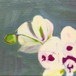 Orchid and Bud, oil/canvas, 5 x 7"